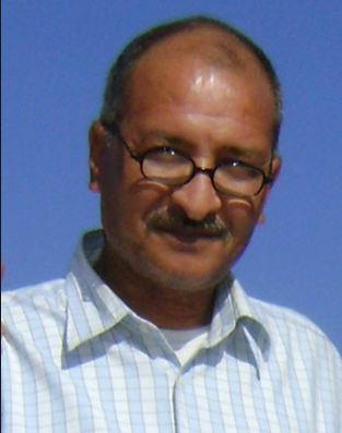 مأمون الحجاجي